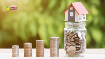 Astuces Clés pour votre Économie Assurance Emprunteur Des pieces sur une table
