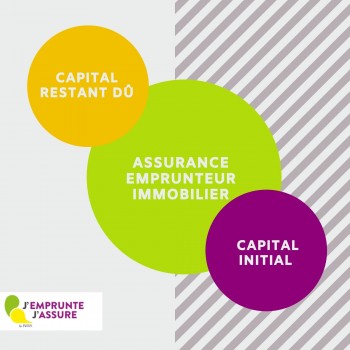 Quelle capital pour assurer son prêt immobilier ? Capital initial vs capital restant du pour son assurance de prêt ?