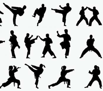 Sport de Combat et assurance de prêt immobilier assurance pret immobilier Sport de Combat